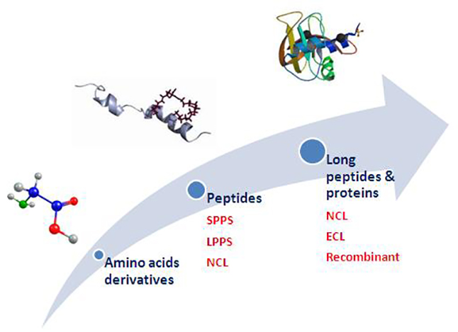 PEBio about us-highresolution